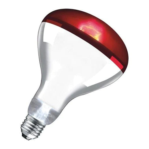 Heat Lamp Bulb 250w