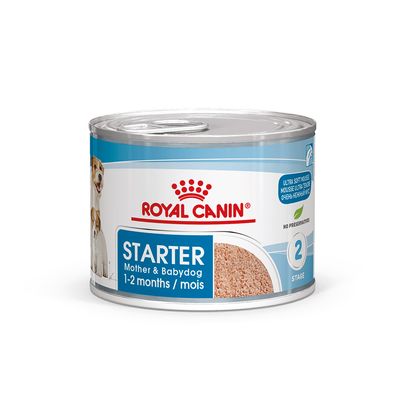 Royal Canin Mother & Baby Starter Mousse Tin