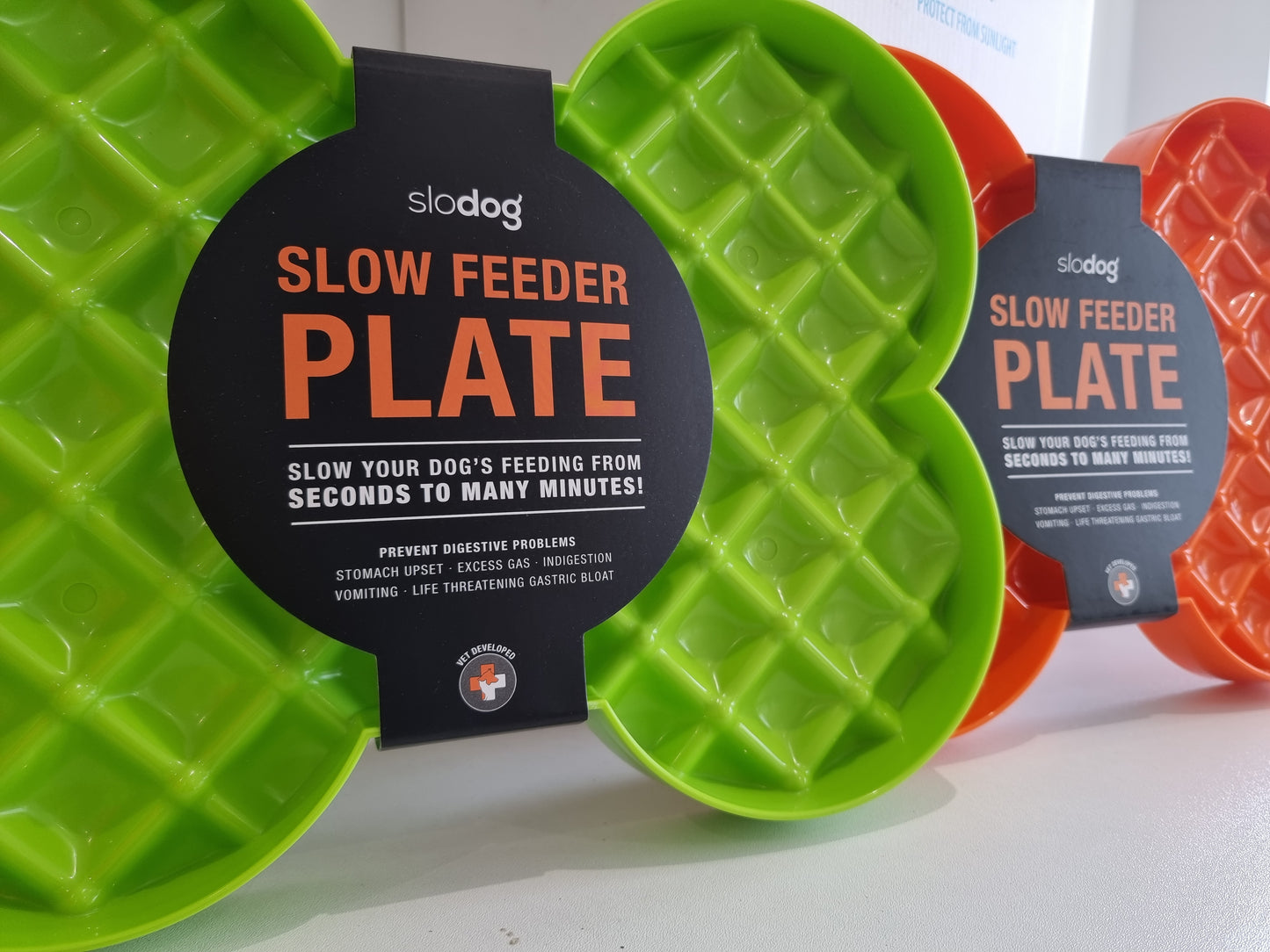 Slow Feeding Plate